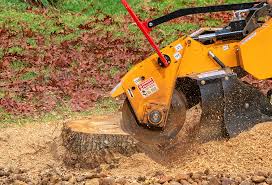 Best Lot and Land Clearing  in Greenville, RI